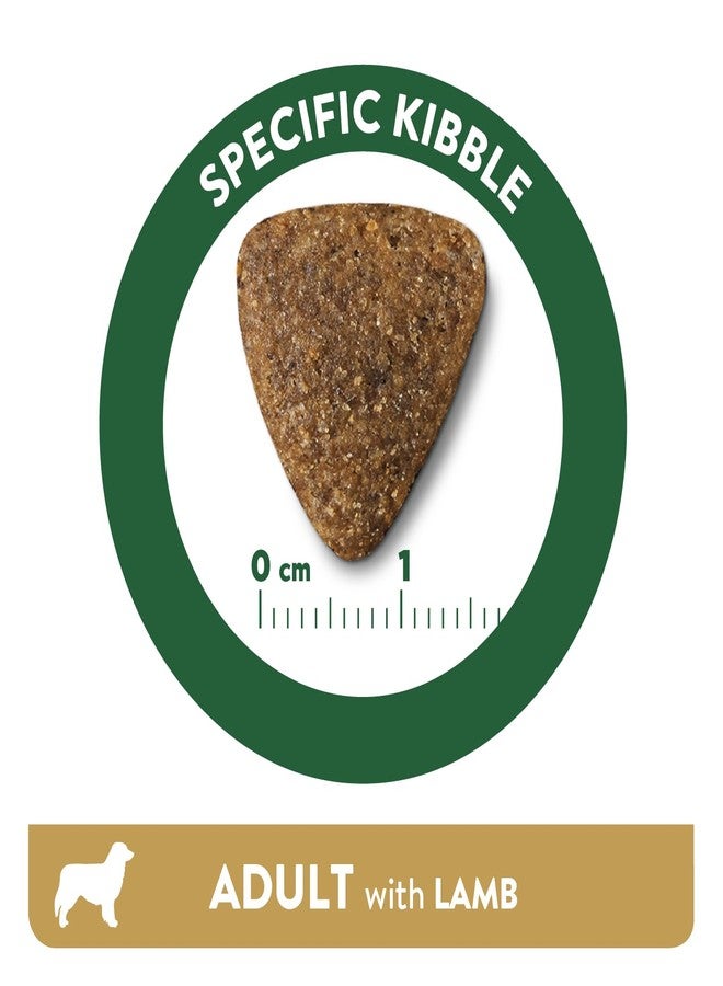 Libra Dog Adult Lamb 3 Kg from Affinity Petcare | Premium Dog Food | Complete and Balanced for Adult Dogs with Lamb - Image 5